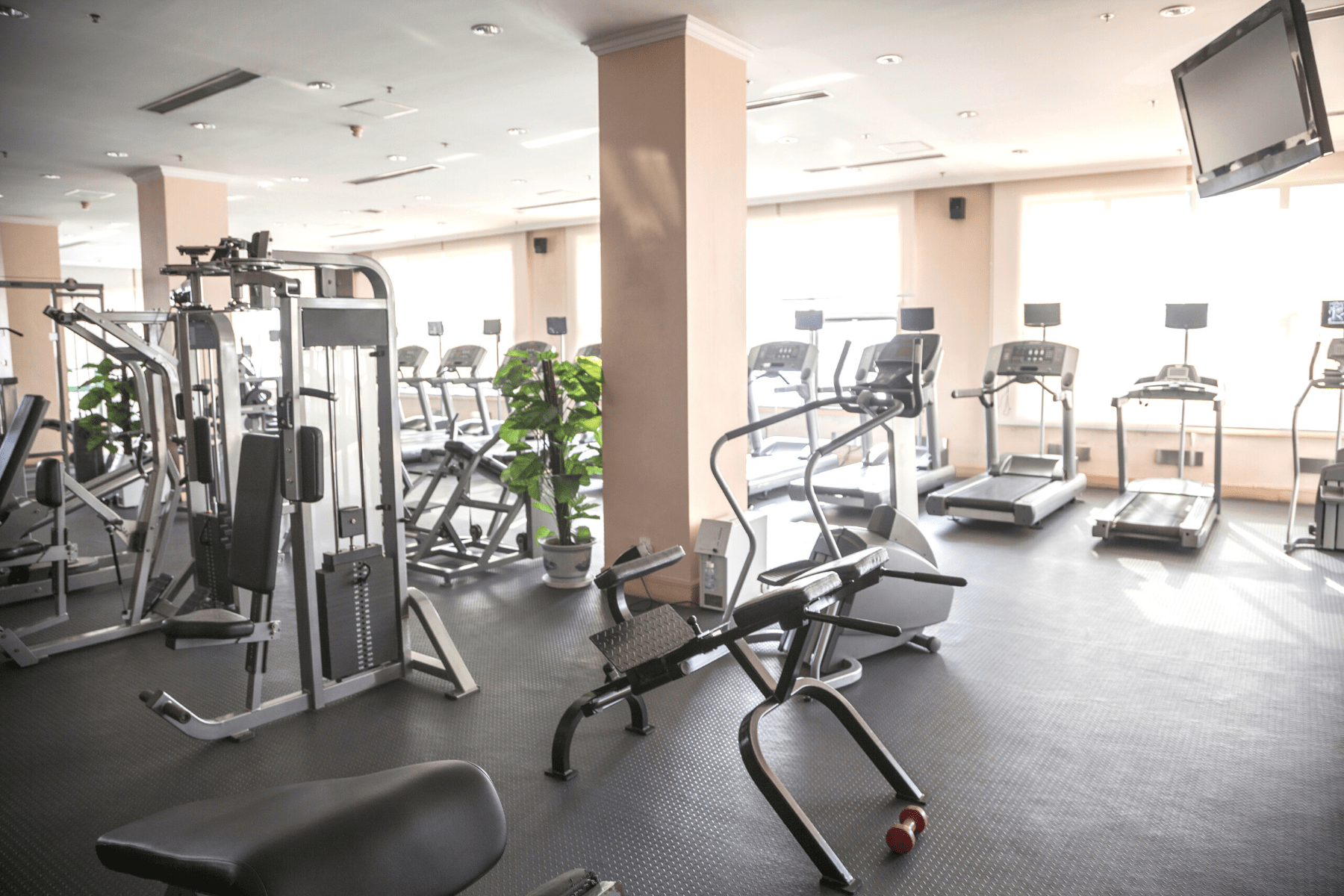 Commercial Gym Equipment Brands (Updated 2022)