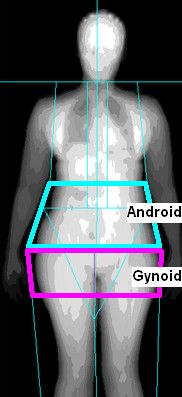 Android and Gynoid 2