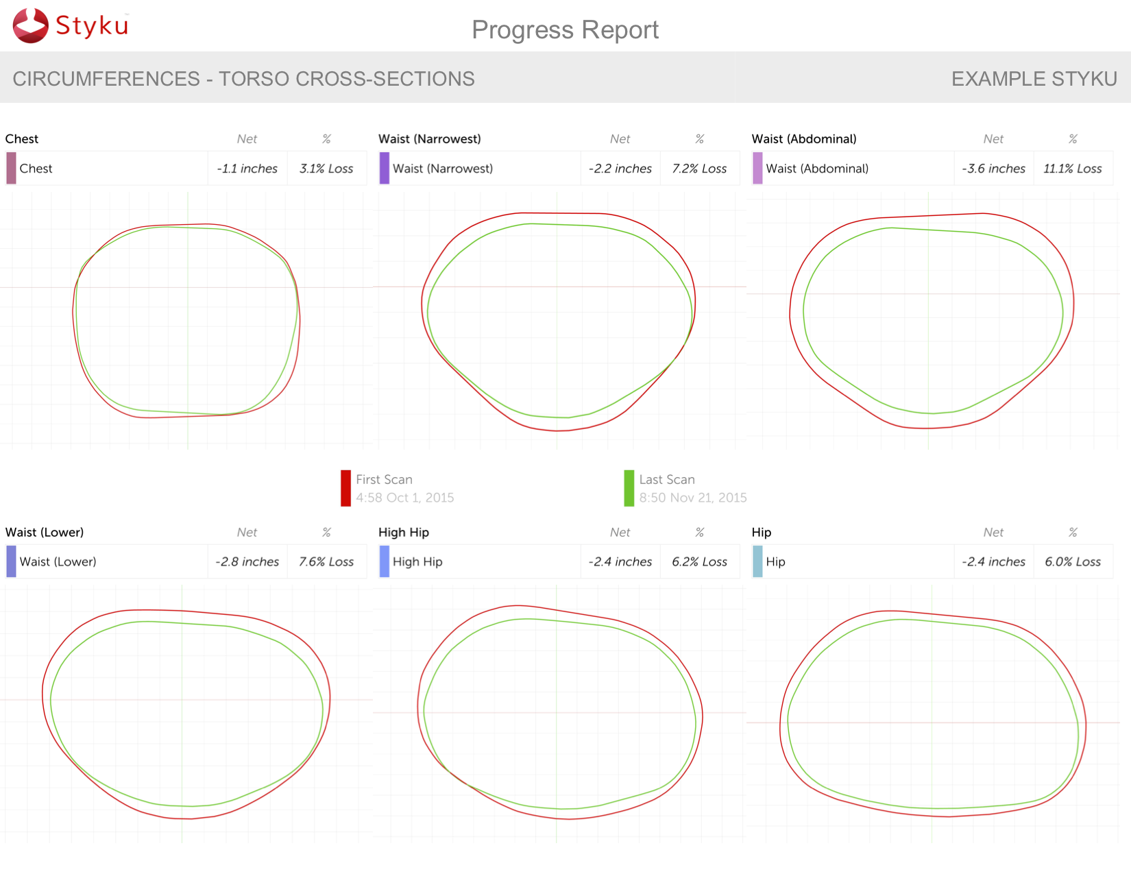 Example Styku - Progress Report cross section